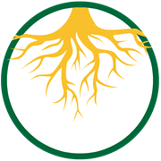 Core Aeration Benefit - Strong Roots